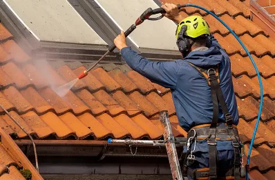 Démoussage et hydrofuge de toiture à Larnat
